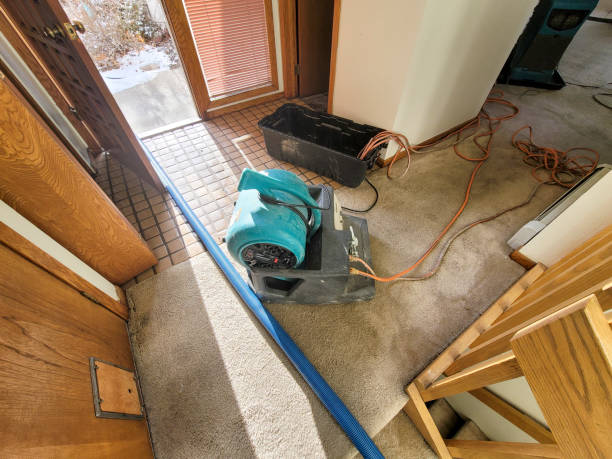Best Carpet water damage restoration  in Stanhope, NJ