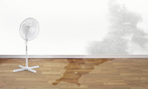 Best Ceiling water damage repair  in Stanhope, NJ