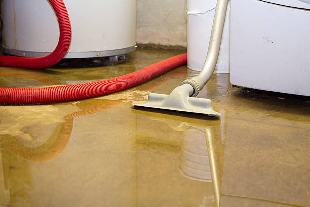 Best Flooded house restoration  in Stanhope, NJ