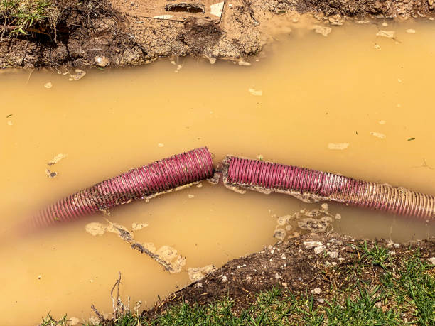 Best Water damage contractors near me  in Stanhope, NJ